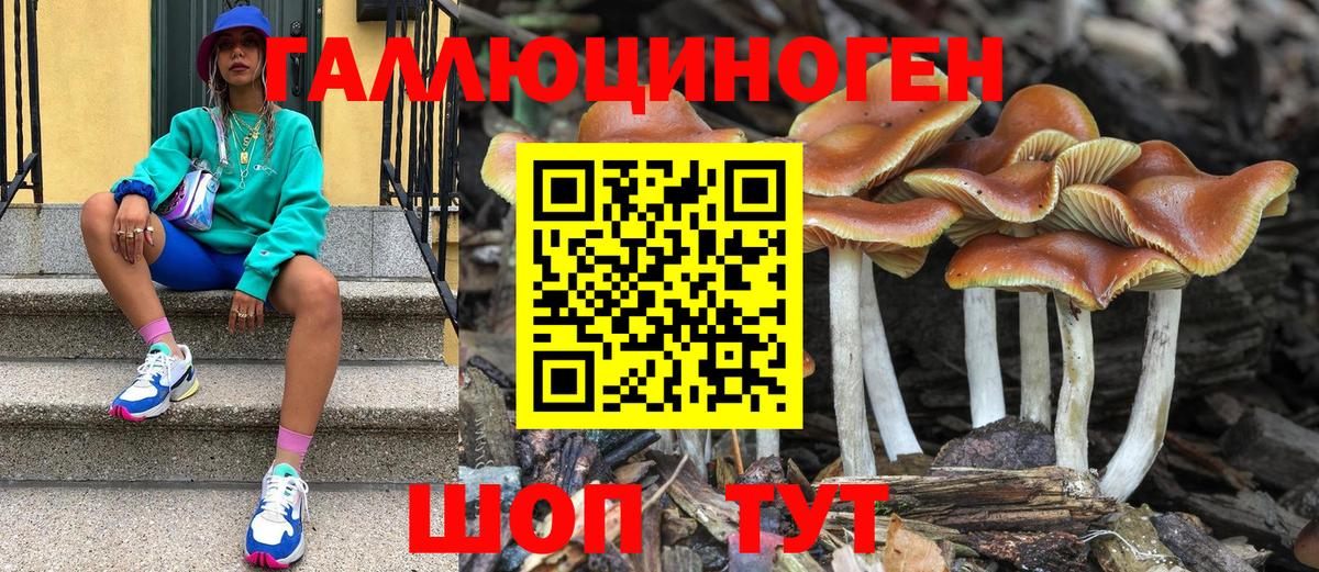 что такое наркотик  Псилоцибиновые грибы прущие грибы  Вход с VPN  Новоалександровск 